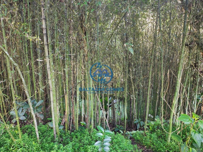 Chácara, 2 quartos, 2400 m² - Foto 19