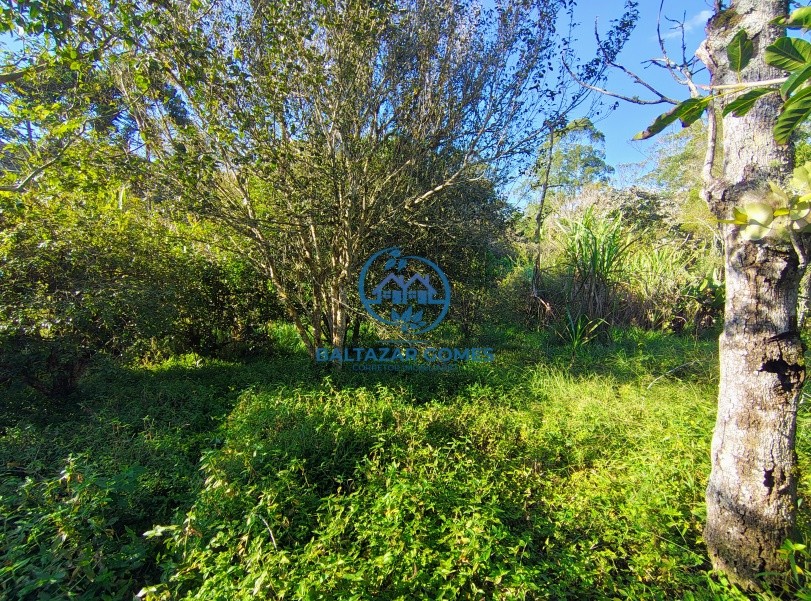 Chácara, 2 quartos, 2400 m² - Foto 21