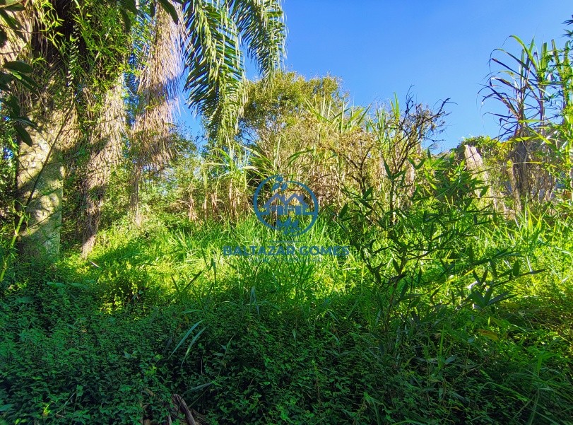 Chácara, 2 quartos, 2400 m² - Foto 20