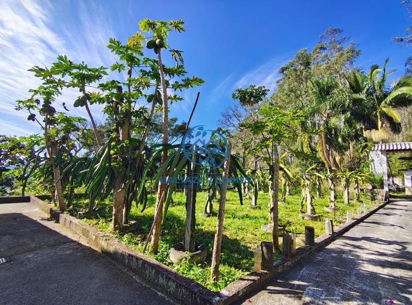 Sítio, 3 quartos, 4 hectares - Foto 2