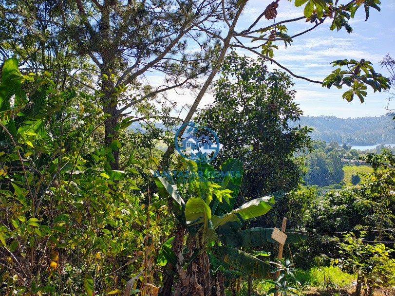 Sítio, 3 quartos, 4 hectares - Foto 12