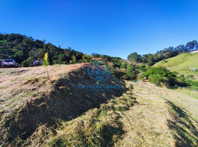 Terreno, 2 hectares - Foto 6