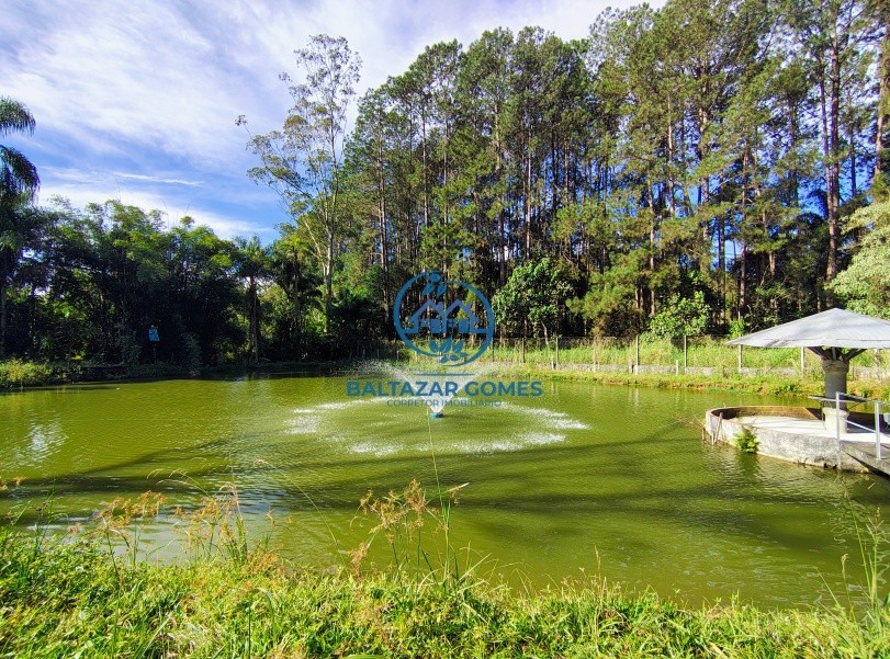 Sítio, 2 quartos, 2 hectares - Foto 10