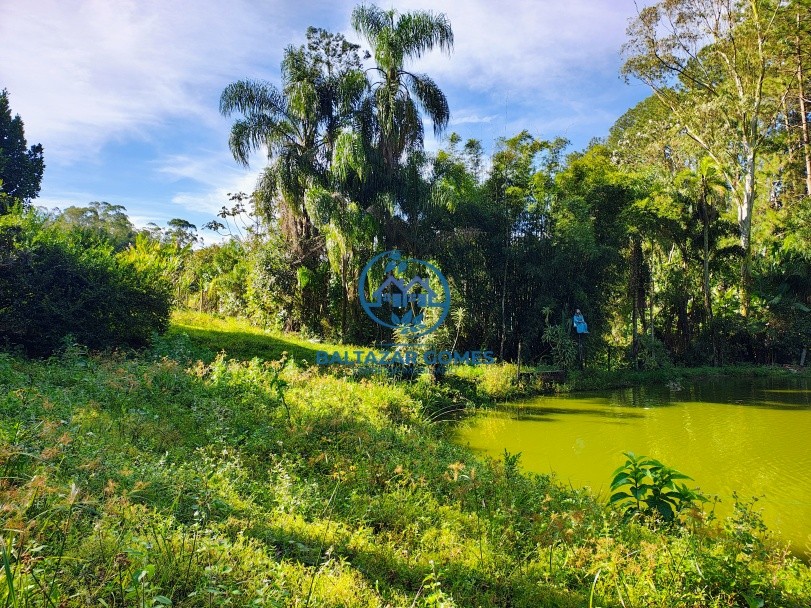 Sítio, 2 quartos, 2 hectares - Foto 11