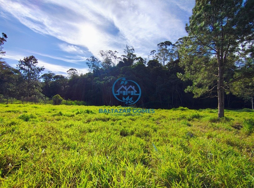 Sítio, 2 quartos, 2 hectares - Foto 19