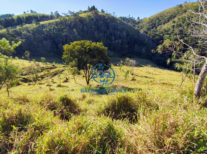 Terreno, 10000 m² - Foto 1