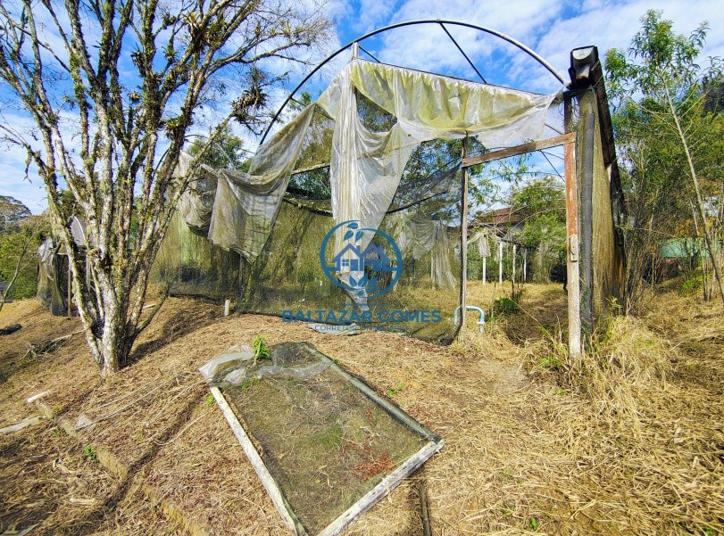 Sítio, 1 quarto, 6000 m² - Foto 4