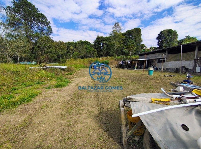 Sítio, 1 quarto, 6000 m² - Foto 6