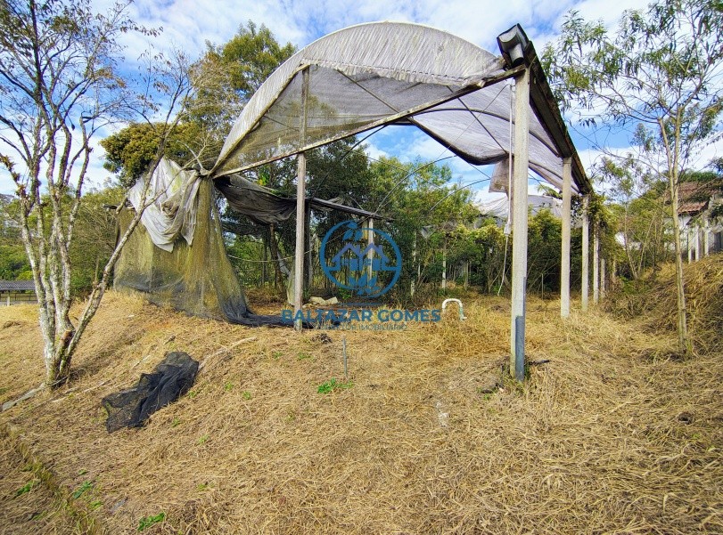 Sítio, 1 quarto, 6000 m² - Foto 5