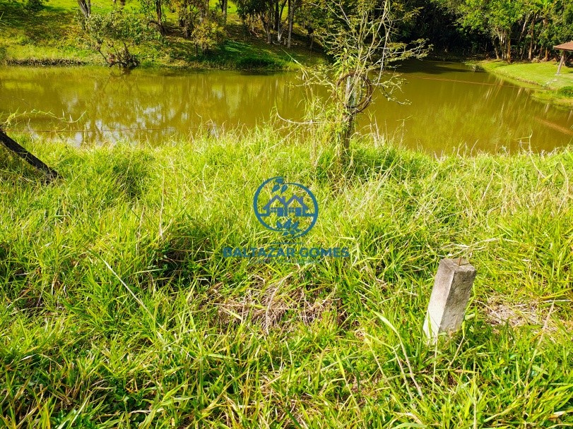 Sítio, 1 quarto, 6000 m² - Foto 7