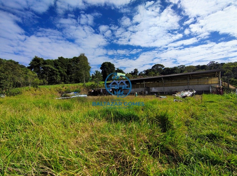 Sítio, 1 quarto, 6000 m² - Foto 8