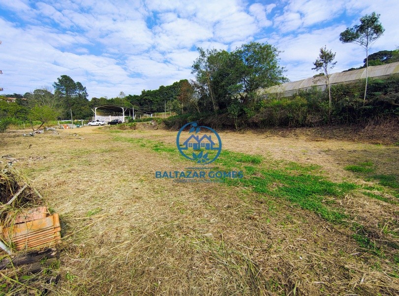 Fazenda, 5000 m² - Foto 4