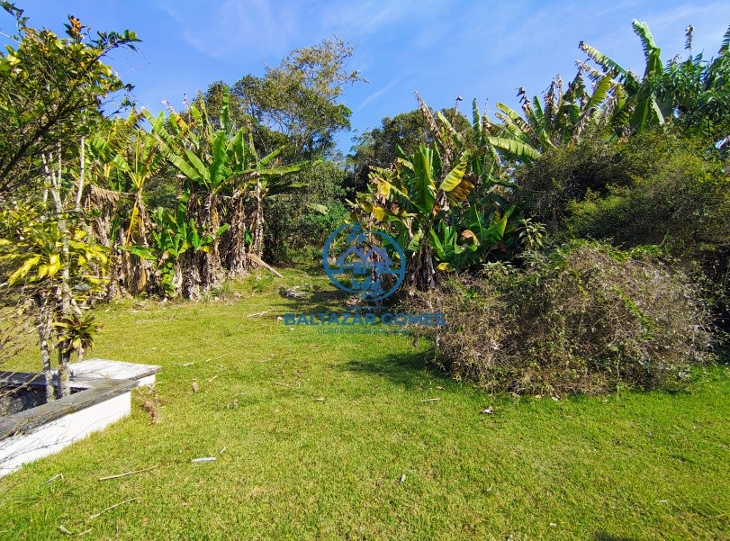 Chácara, 3 quartos, 3 hectares - Foto 27