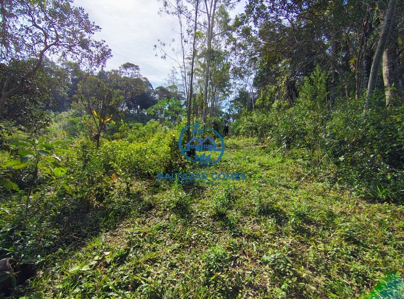 Chácara, 3 quartos, 3 hectares - Foto 24