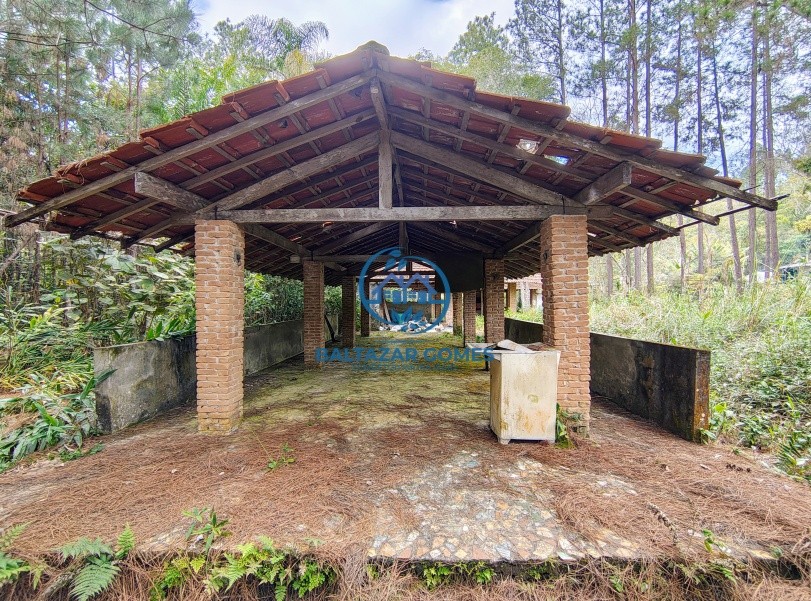 Sítio, 3 quartos, 2 hectares - Foto 6