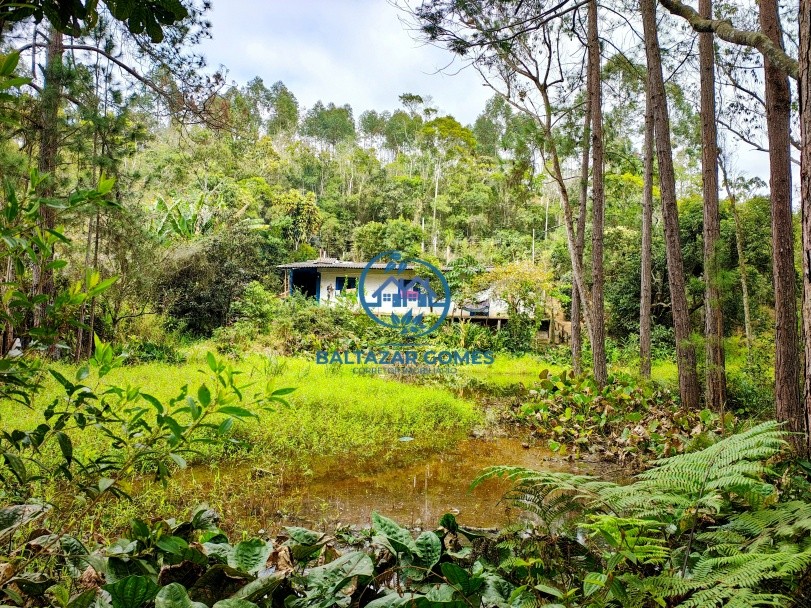 Sítio, 3 quartos, 2 hectares - Foto 9