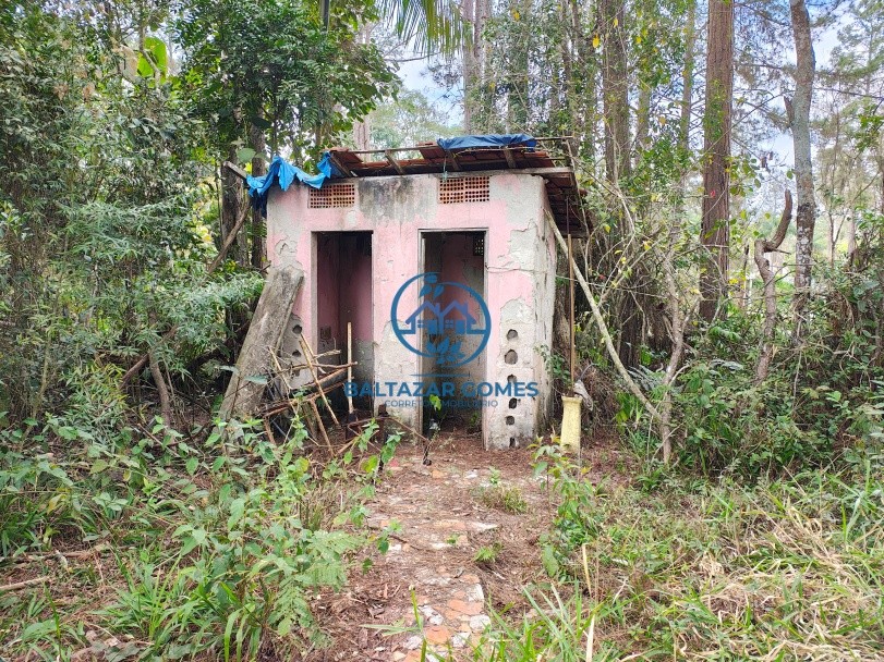 Sítio, 3 quartos, 2 hectares - Foto 10