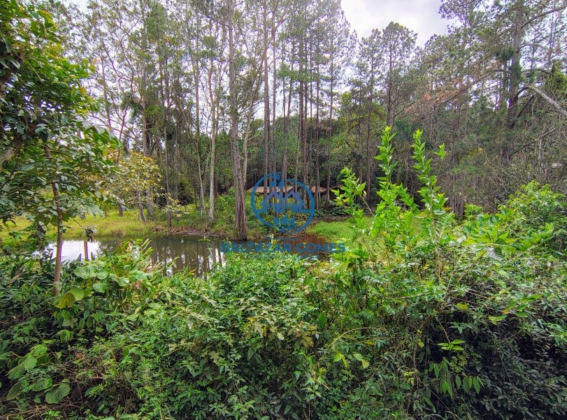 Sítio, 3 quartos, 2 hectares - Foto 11