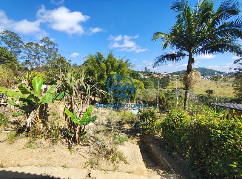 Sítio, 3 quartos, 1060 m² - Foto 5