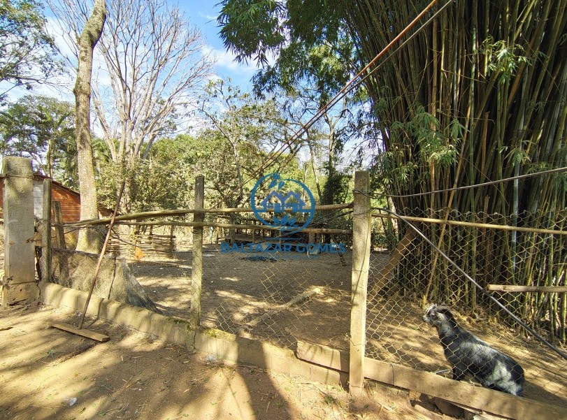 Sítio, 3 quartos, 1 hectares - Foto 15