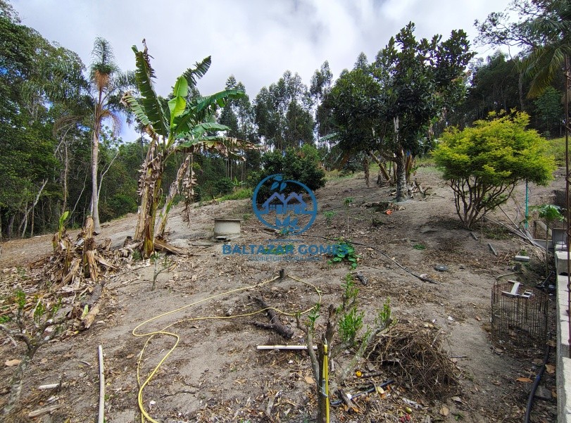 Chácara, 2 quartos, 3916 m² - Foto 12