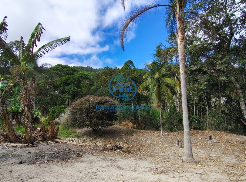 Chácara, 2 quartos, 3916 m² - Foto 14