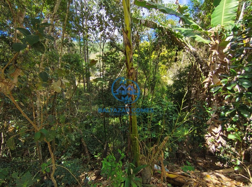 Chácara, 2 quartos, 3916 m² - Foto 18