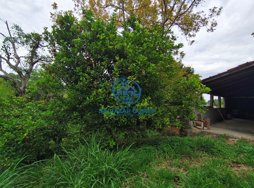 Chácara, 2 quartos, 4000 m² - Foto 8