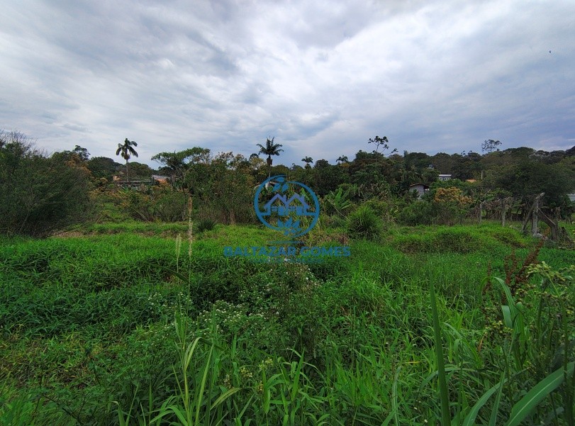 Chácara, 2 quartos, 4000 m² - Foto 12