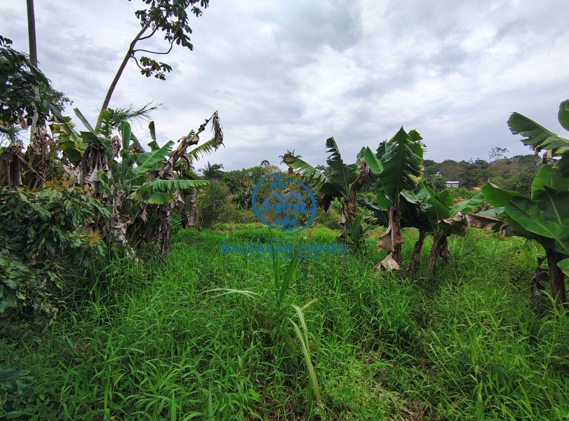 Chácara, 2 quartos, 4000 m² - Foto 11