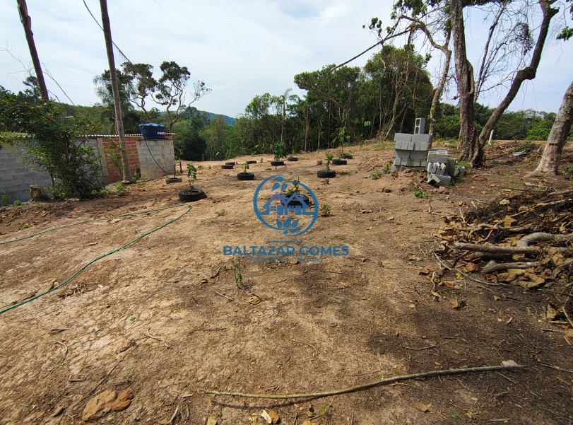 Chácara, 1 quarto, 1100 m² - Foto 7