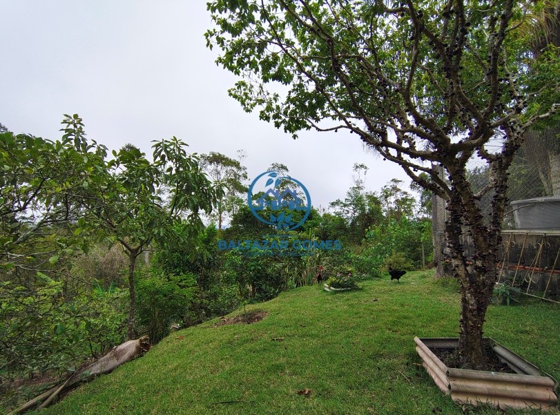 Chácara, 5 quartos, 1980 m² - Foto 18