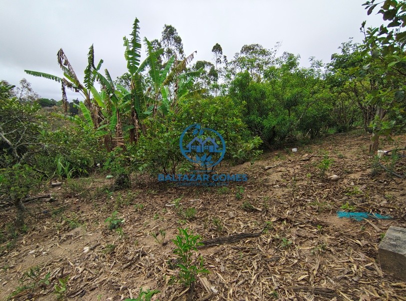 Chácara, 5 quartos, 1980 m² - Foto 19