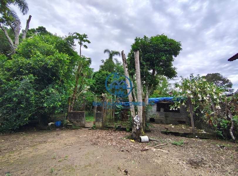 Chácara, 2 quartos, 6000 m² - Foto 15