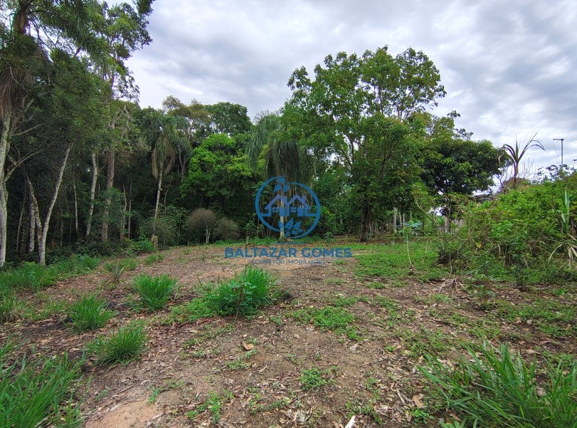 Chácara, 2 quartos, 6000 m² - Foto 16