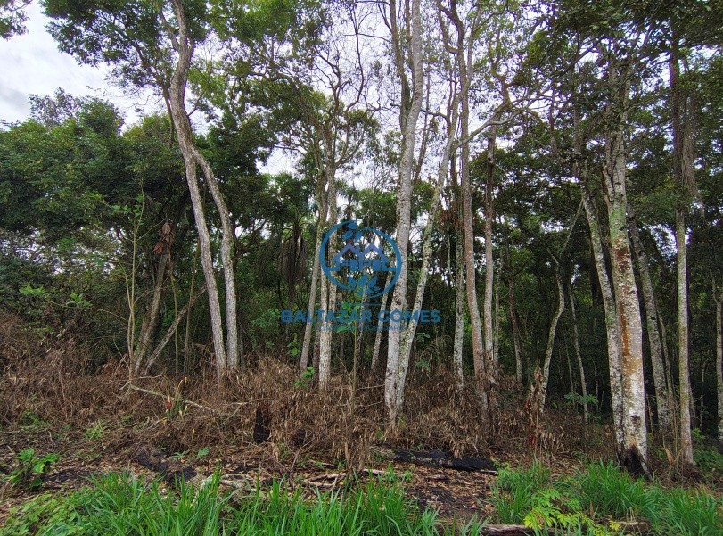 Chácara, 2 quartos, 6000 m² - Foto 17