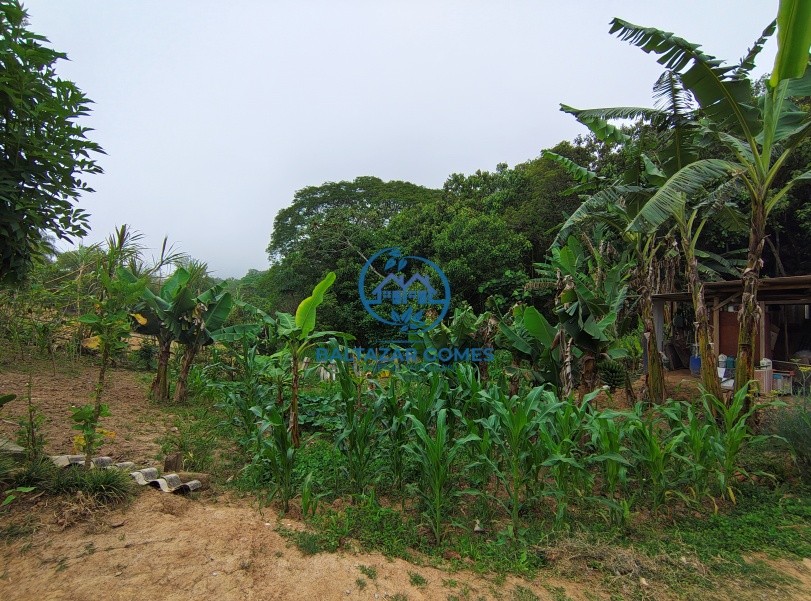 Chácara, 1 quarto, 1137 m² - Foto 15