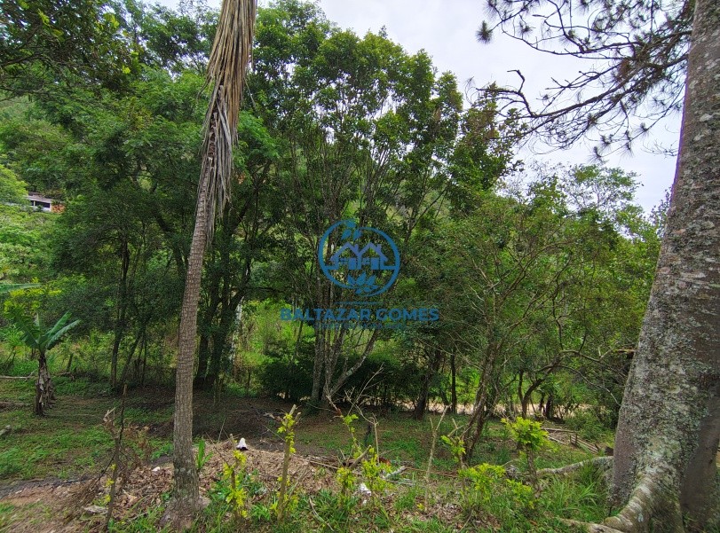 Terreno, 1000 m² - Foto 2