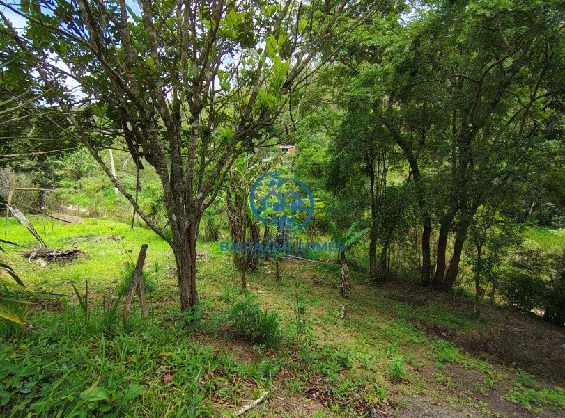 Terreno, 1000 m² - Foto 4