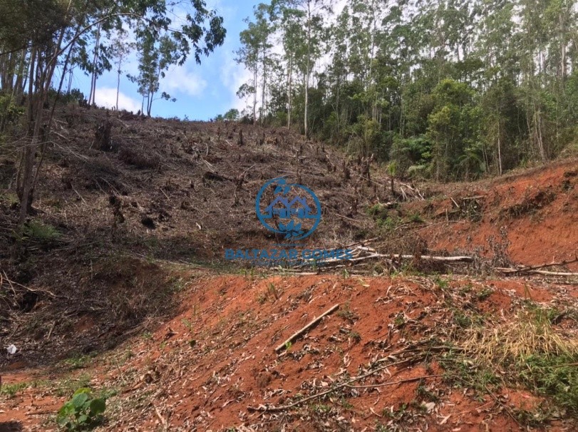 Terreno, 2600 m² - Foto 1