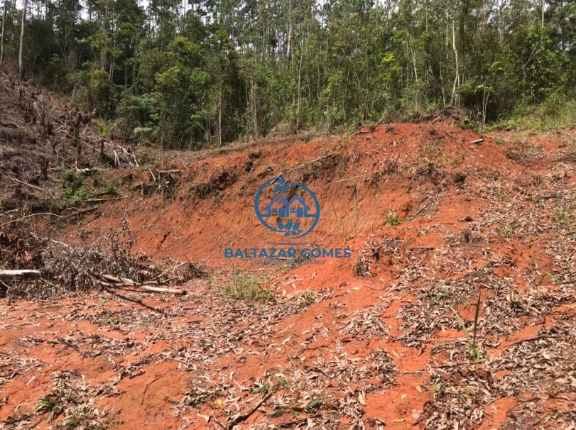 Terreno, 2600 m² - Foto 2