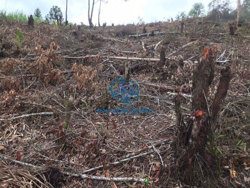 Terreno, 2600 m² - Foto 5