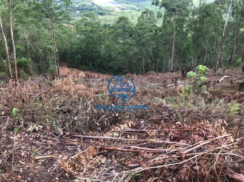 Terreno, 2600 m² - Foto 4