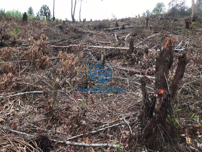 Terreno, 2600 m² - Foto 3