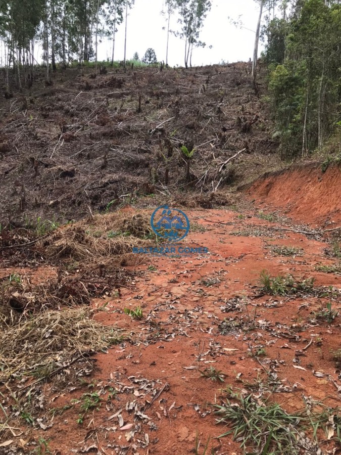 Terreno, 2600 m² - Foto 7