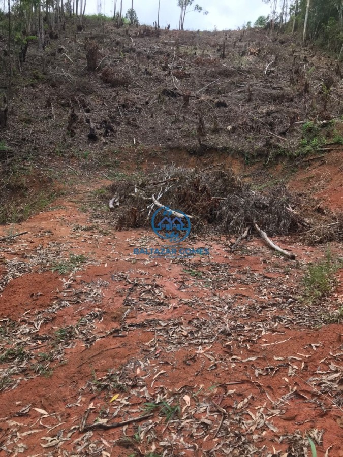 Terreno, 2600 m² - Foto 8