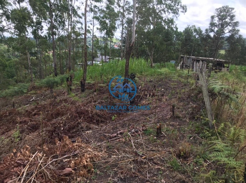 Terreno, 2600 m² - Foto 6