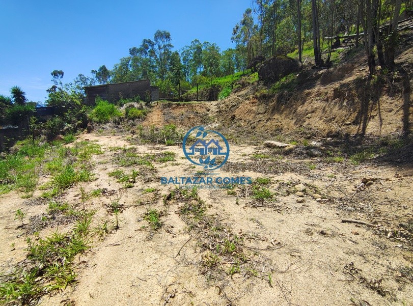 Chácara, 2 quartos, 1000 m² - Foto 10