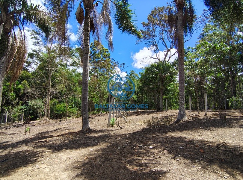 Chácara, 3 quartos, 6000 m² - Foto 17