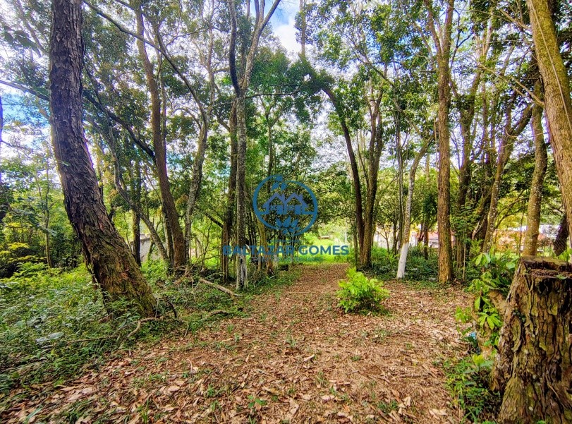 Terreno, 5000 m² - Foto 3